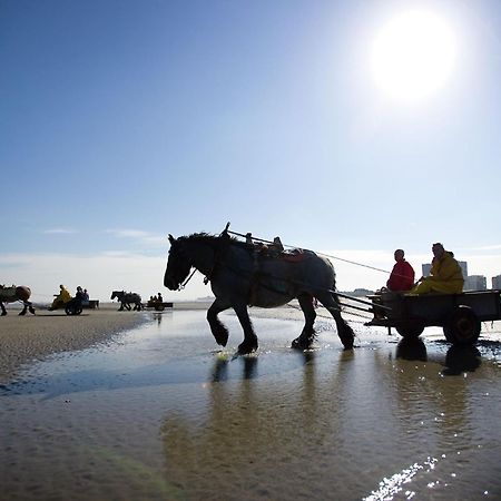 Vitamine D Koksijde Kültér fotó