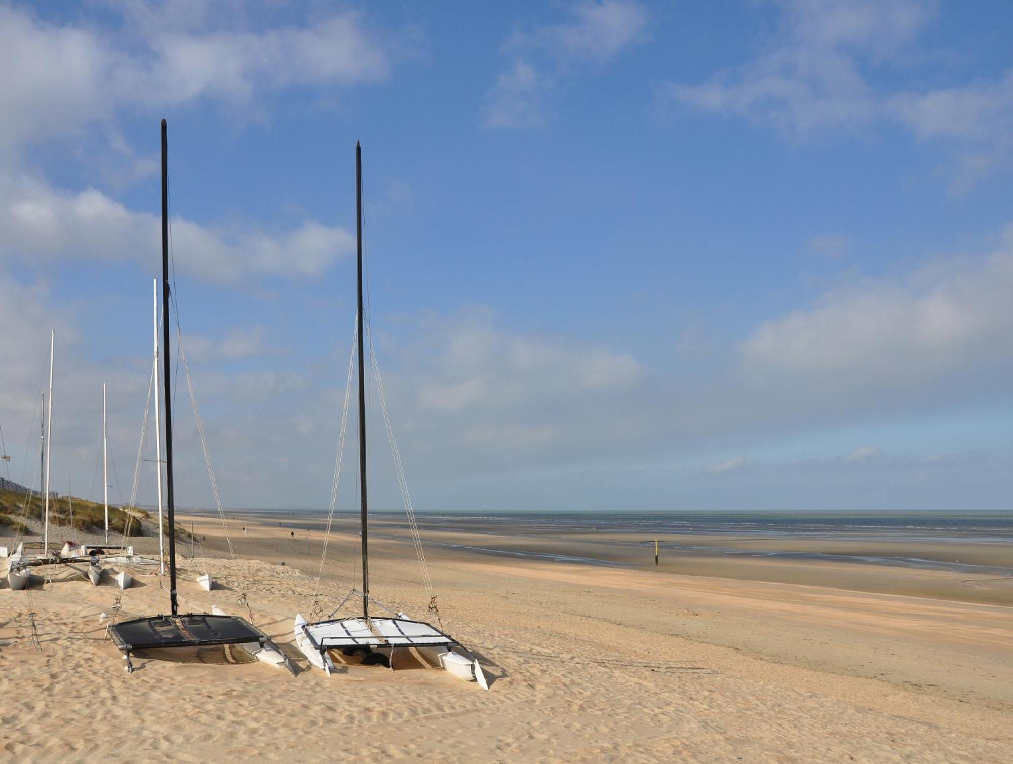 Vitamine D Koksijde Kültér fotó